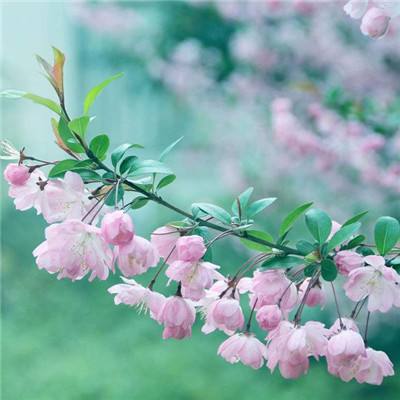 新无敌ol官方下载