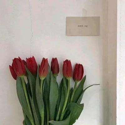 环球冒险正式版下载