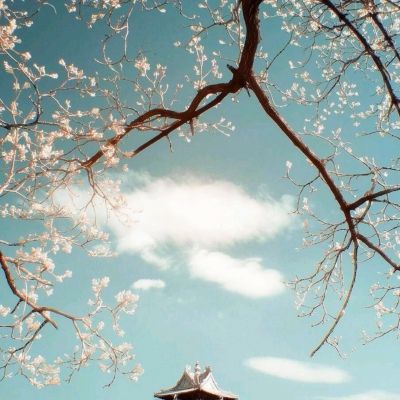 王者起航手机版(暂未上线)v1.0.0 安卓版