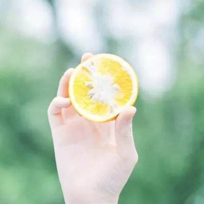 一择彼女加藤惠汉化破解版下载